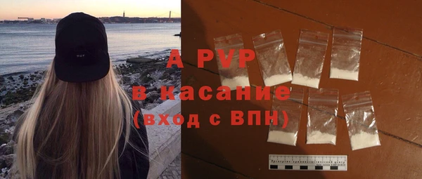 стафф Богородицк