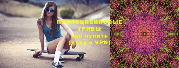 дурь Богородск