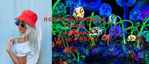 стафф Богородицк