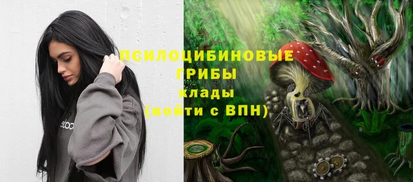 стафф Богородицк