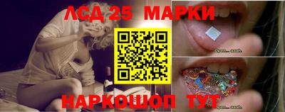 гидропоника Донской
