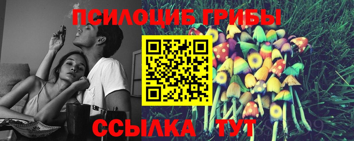 Наро-Фоминск  Галлюциногенные грибы Cubensis  Вход с VPN 