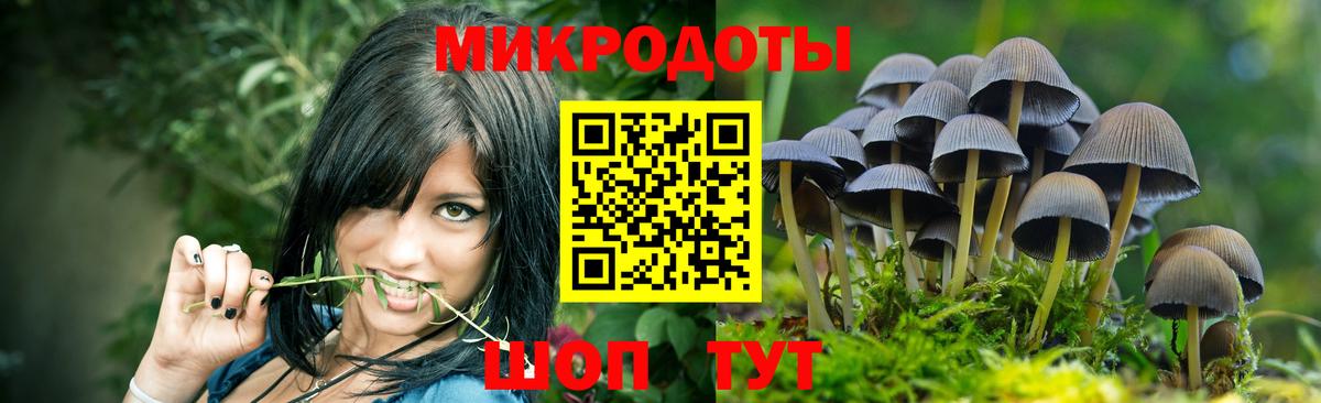 Псилоцибиновые грибы мухоморы Наро-Фоминск